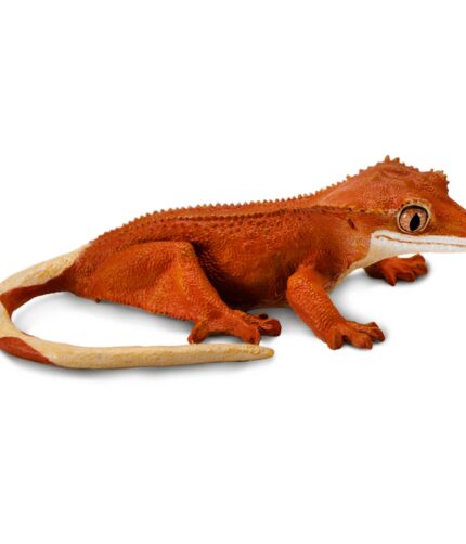 Crested Gecko Toy Figure