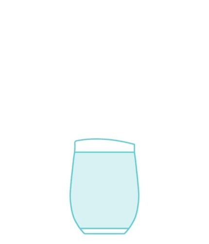 Bella Rosa 12oz Stemless Wine Cup