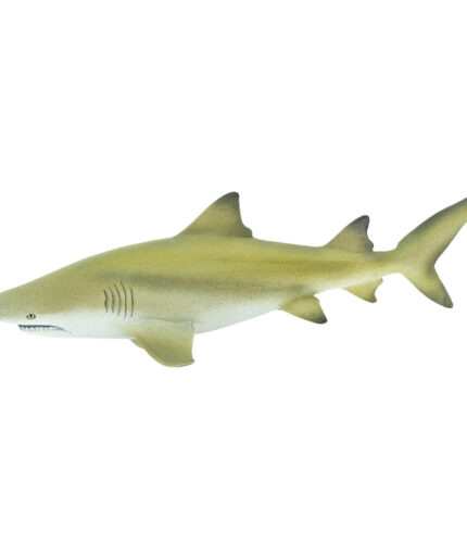 Lemon Shark Toy