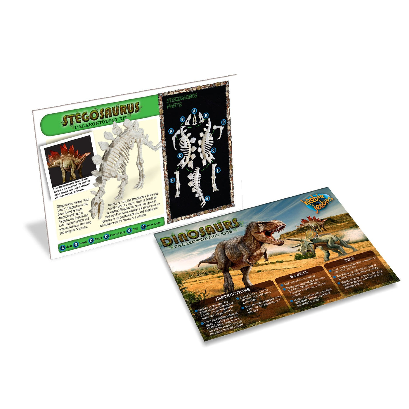stegosaurus-paleontology-kit-488555.jpg
