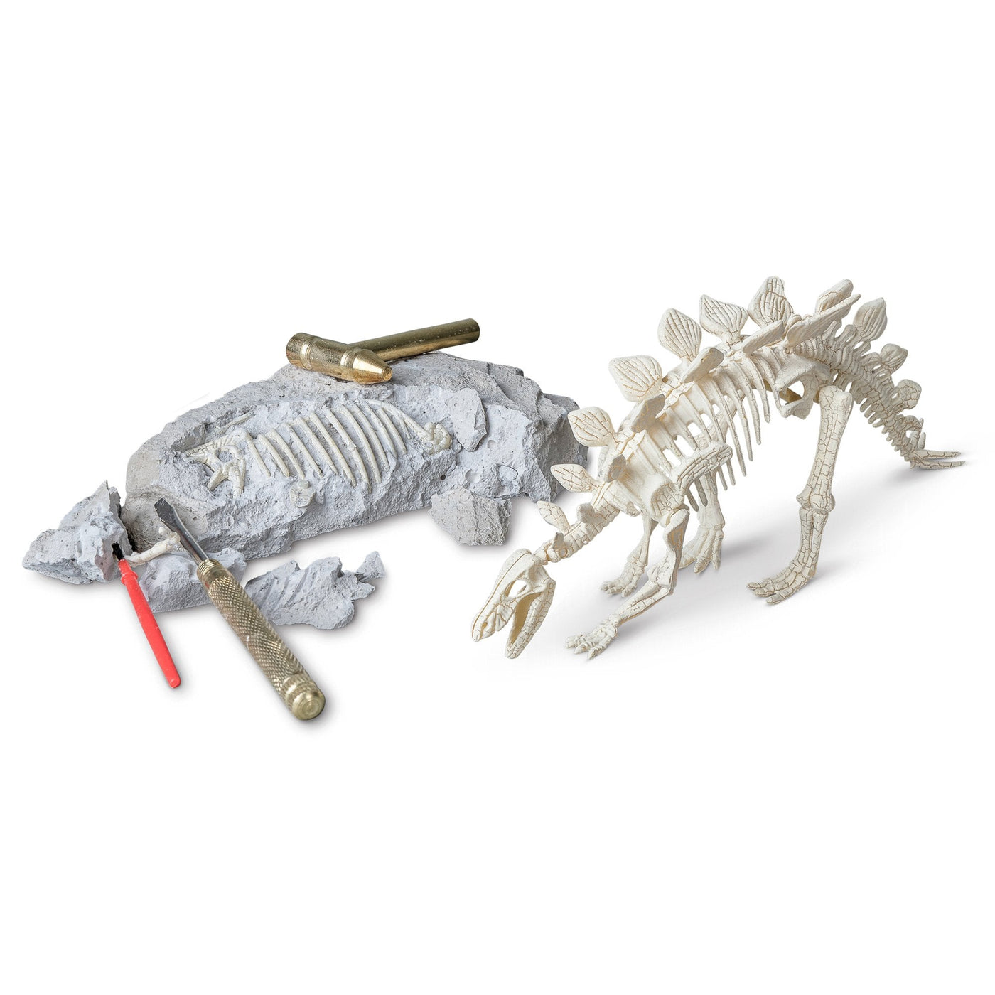 stegosaurus-paleontology-kit-876831.jpg